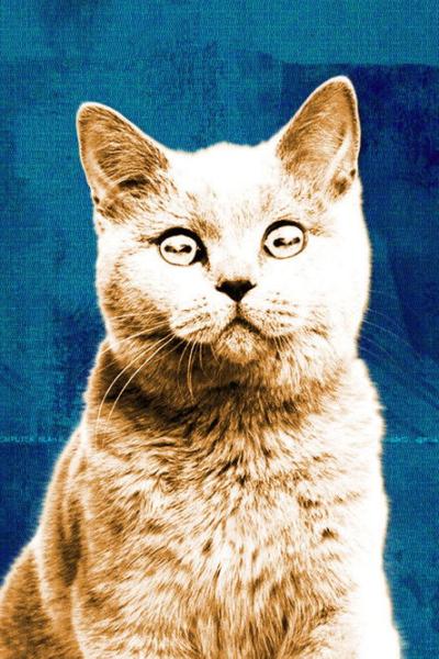 Off the Air filmas online