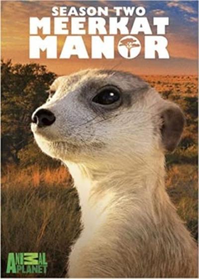 Meerkat Manor filmas online