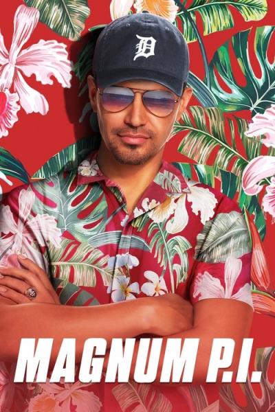Privatus detektyvas Magnumas filmas online