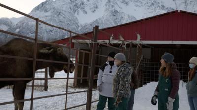 Dr. Oakley, Yukon Vet