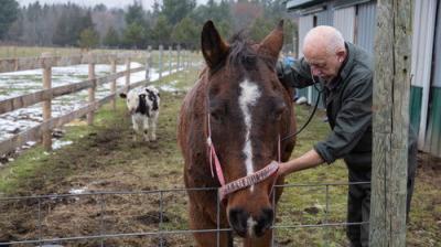 The Incredible Dr. Pol
