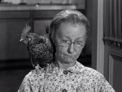 The Beverly Hillbillies