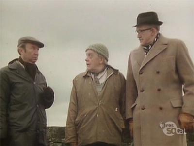 Last of the Summer Wine