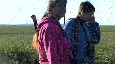 Life Below Zero
