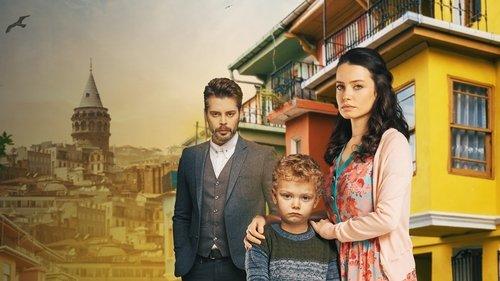 Sužeisti paukščiai filmas žiurėti online