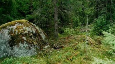 Kriminalarkivet med Pops och Lampers