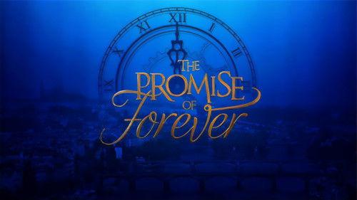 The Promise of Forever filmas žiurėti online
