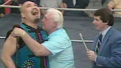WWF All-Star Wrestling