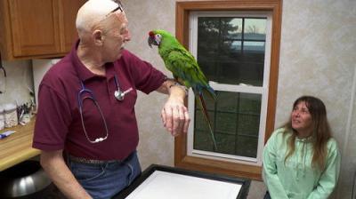 The Incredible Dr. Pol