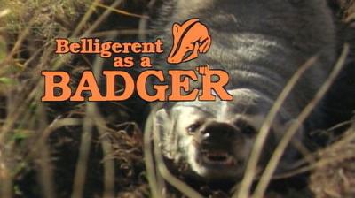 Marty Stouffer's Wild America