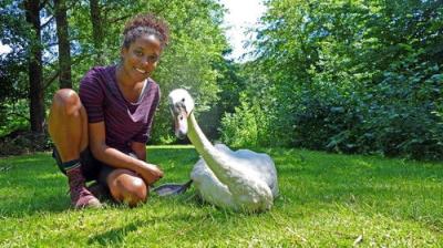 Pia und die wilden Tiere