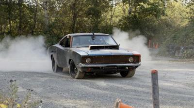 Roadkill