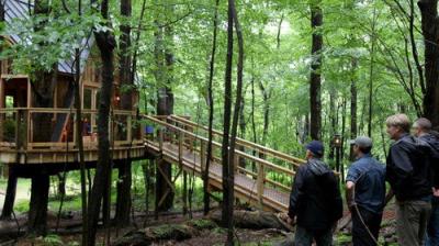 Treehouse Masters