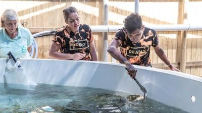 The Amazing Race Australia