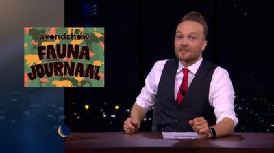 De Avondshow met Arjen Lubach