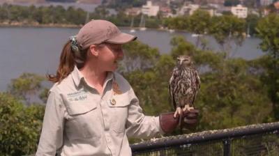 Taronga: Who's Who In The Zoo