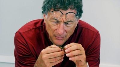 The Curse of Oak Island