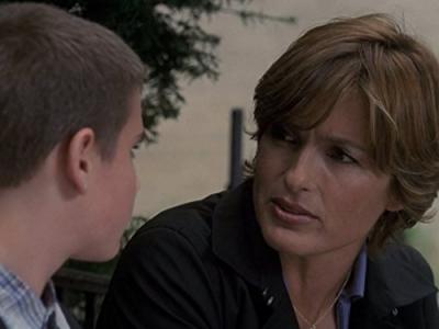 Įstatymas ir tvarka. Specialiųjų tyrimų skyrius