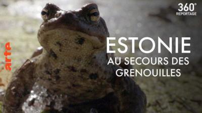ARTE 360° Reportage