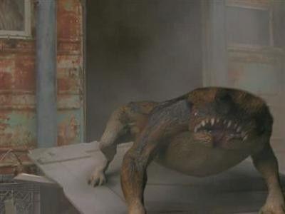 Tremors