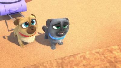 Puppy Dog Pals