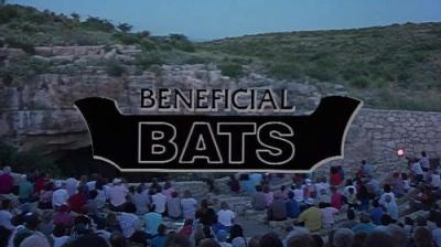 Marty Stouffer's Wild America