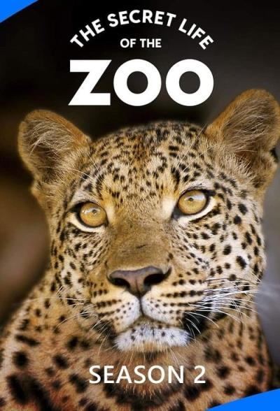 The Secret Life of the Zoo filmas online