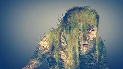 Cosmic Disclosure