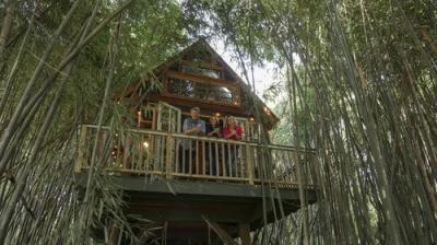 Treehouse Masters
