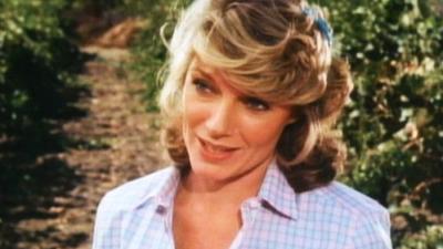Falcon Crest