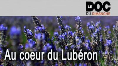 Le Doc du dimanche