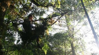 Man vs. Wild