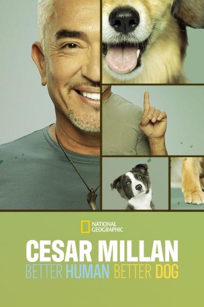 Cesar Millan: Better Human, Better Dog filmas online