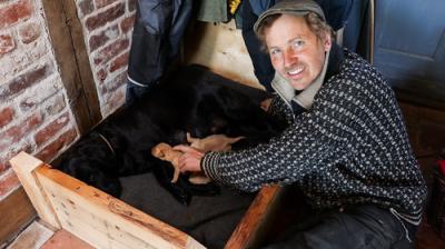 Frank & Kastaniegaarden