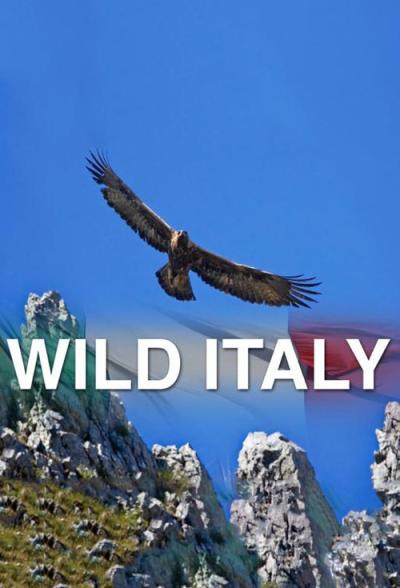 Wild Italy filmas online