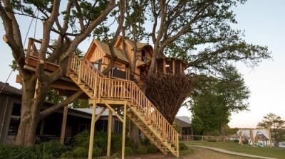 Treehouse Masters
