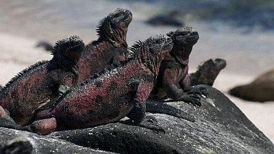 Natural World