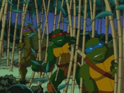 Teenage Mutant Ninja Turtles