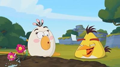 Angry Birds Toons