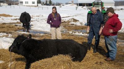 The Incredible Dr. Pol
