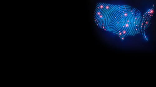 Crime Nation filmas žiurėti online