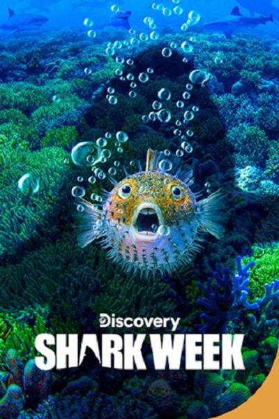Shark Week filmas online