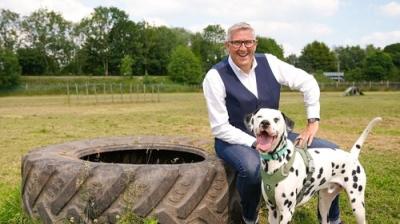 Dogs Behaving (Very) Badly