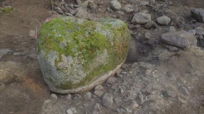 The Curse of Oak Island