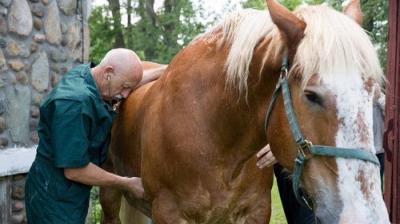The Incredible Dr. Pol