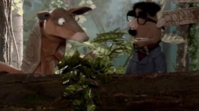 Las vacaciones de Tulio, Patana y El pequeño Tim