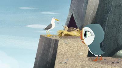 Puffin Rock
