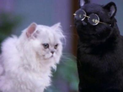 Sabrina, the Teenage Witch