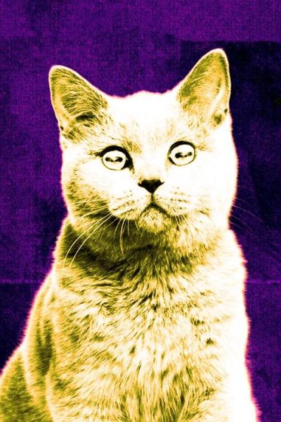 Off the Air filmas online