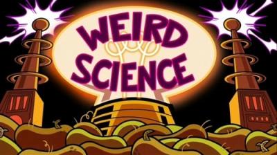 The Fairly OddParents: A New Wish